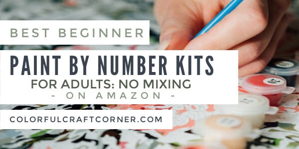 Beginner paint by number kits for adults on amazon