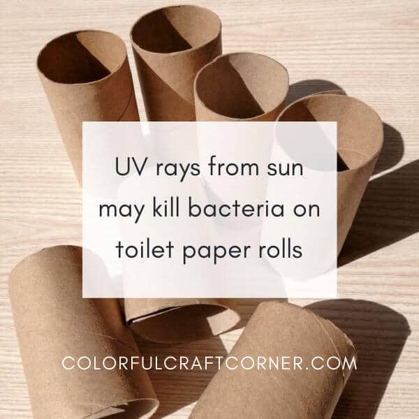 How to Sanitize Paper Rolls for Crafts - How to Sanitize Toilet Paper Rolls  Chemical Free