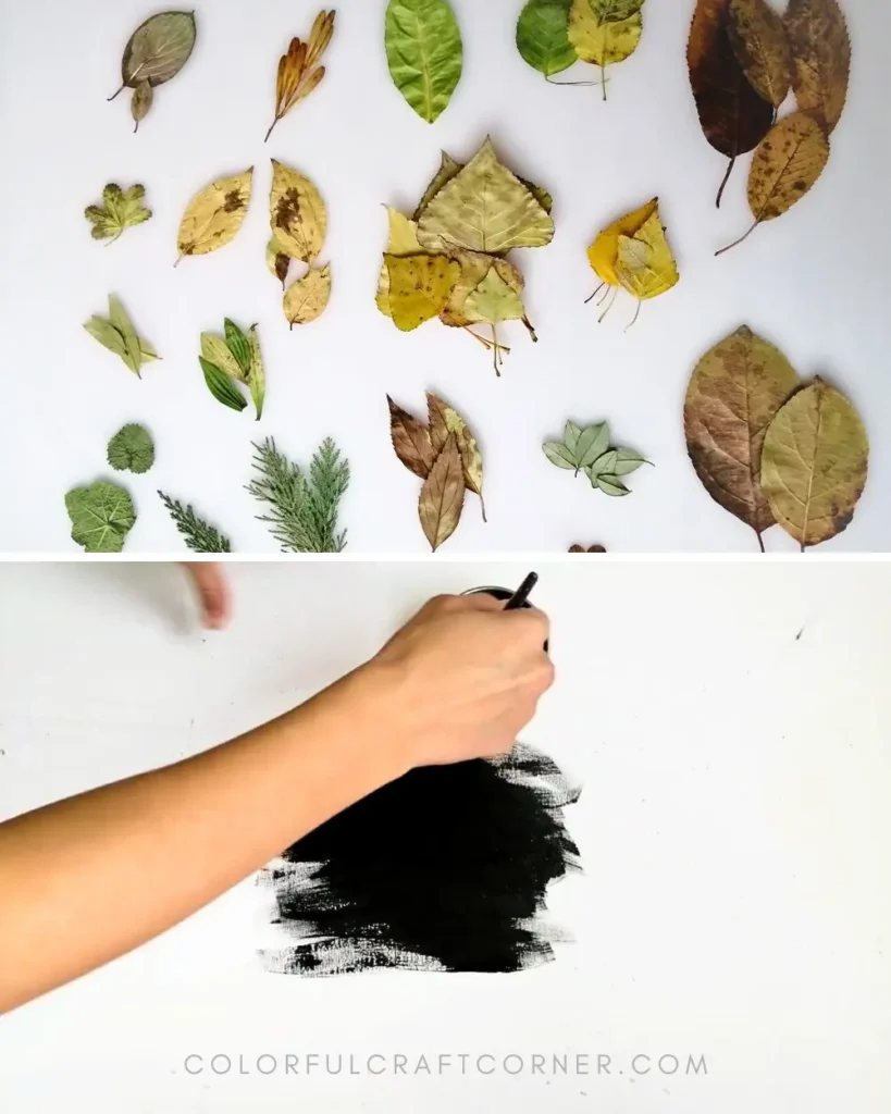 Supplies for leaf print canvas art including acrylic paint, leaves, canvas, and tools